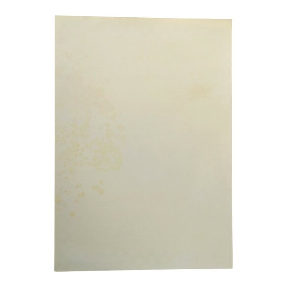 Dennis Loren Signed 1978 Misfits Concert Poster – Sirius Trixon – 90s Reprint - Picture 3 of 3